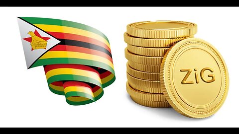 Gold backed Zim digital dollars
