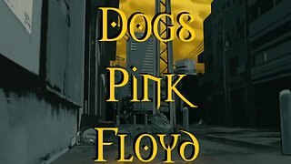 Dogs Pink Floyd