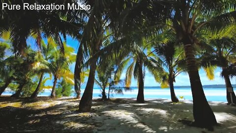 Meditation music| ASMR| Relaxation music| Sleep music