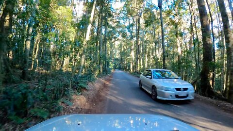 Driving in Australian Mountains | Lamington National Park - Gold Coast Hinterland | Queensland