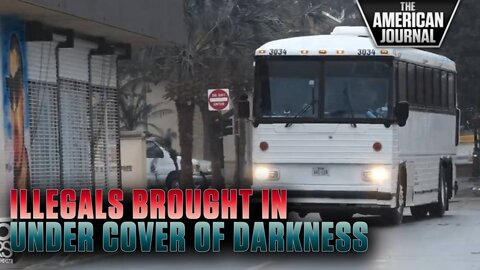 Illegals Trafficked By American Government Under The Cover Of Darkness