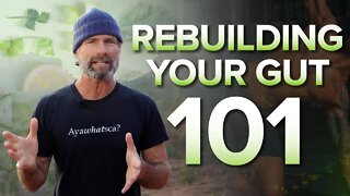 HOW TO REBUILD YOUR GUT HEALTH