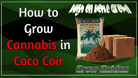 How to Grow Cannabis in Coco