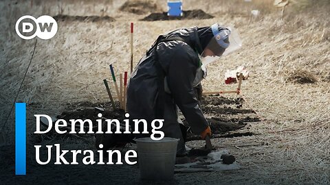 Russian mines make rich Ukrainian fields unfarmable | Focus on Europ