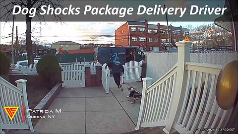 Dog Shocks Package Delivery Driver Caught on Ring Camera | Doorbell Camera Video