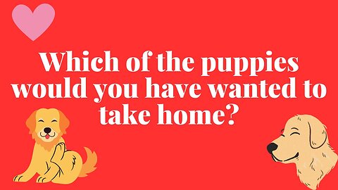 Which of the puppies would you have wanted to take home? PART 5