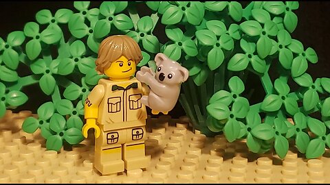 LEGO Steve Irwin