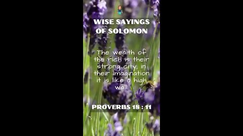 Proverbs 18:11 | NRSV Bible - Wise Sayings of Solomon