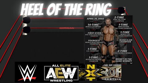 🚨HEEL OF THE RING WRESTLING🤼 PODCAST WWE AEW WEEKLY RECAP