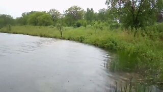 ASMR. Shoreline rain.