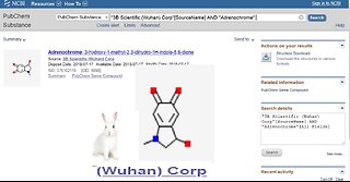 The White Rabbit Molecule and the mass disappearance of children