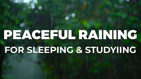 Relaxing Rain Sounds for Sleeping - Fall Asleep with the Sound of Rain and Thunder at Night