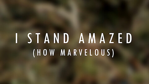 I Stand Amazed (How Marvelous) Lyrics
