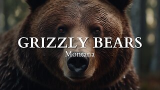 Grizzly Bears: A Symbol of the Wild and Untamed