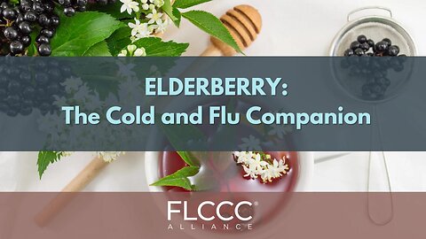 Elderberry: The Cold and Flu Companion