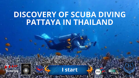 🤿 First discover scuba diving in Pattaya