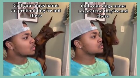 Call Your Dog's Name When They Are Next To You