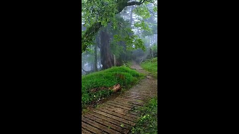 beautiful rainy view with relaxing music