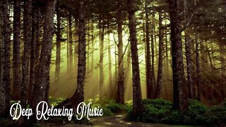 Relaxing Piano Music, Relaxing Music, Soothing Instrumental Music, Deep Focus ⚧ Calming Music