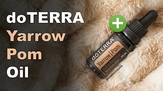 doTERRA Yarrow Pom Essential Oil Benefits and Uses