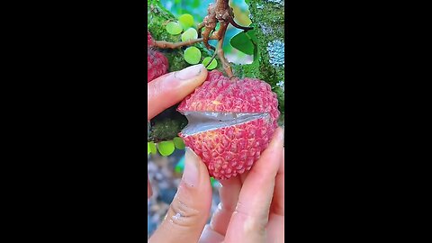 Wow amazing fruit cutting