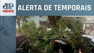 Forte chuva atinge São Paulo e provoca estragos em regiões da cidade