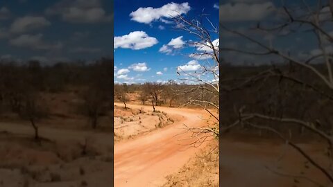 LAMPIÃO E ZÉ DO PAPEL UNS DOS ATAQUES MAIS CRUES DO BANDO DE LAMPIÃO