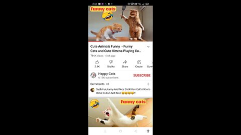 cau animal _funny video 🐈🐈🐈🐈🐈