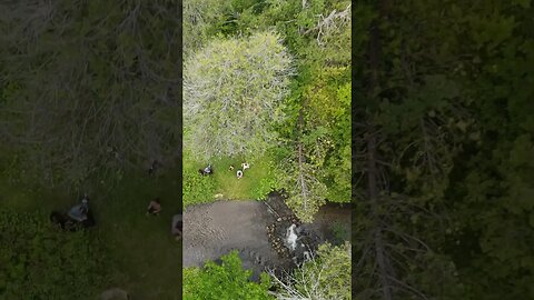 Kendal Crown Land Drone Takeoff #hiking #shorts #short