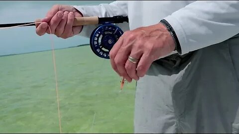 The Ready Position for Saltwater Fly Fishing