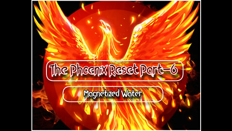The Phoenix Phenomena Part-6