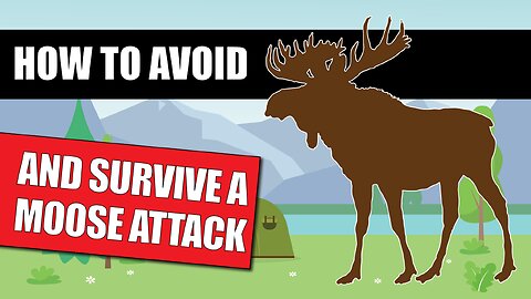 How To Deal With A Moose Encounter [WARNING SIGNS] And How To Survive