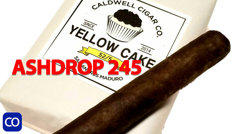 CigarAndPipes CO Ashdrop 245