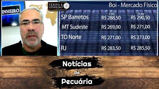 Boi gordo cai na B3 e no mercado físico com estratégia da indústria