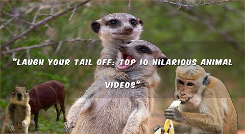 "Laugh Your Tail Off: Top 10 Hilarious Animal Videos"