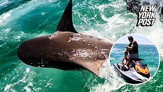 'Aggressive f—ing' shark repeatedly rams jet ski in Florida