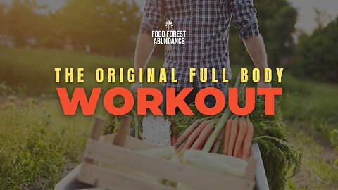 The original full body workout