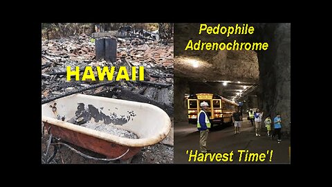 WARNING! Pedophile Adrenochrome 'Harvest Time'! Over 2,000 Children in Maui Are Missing!