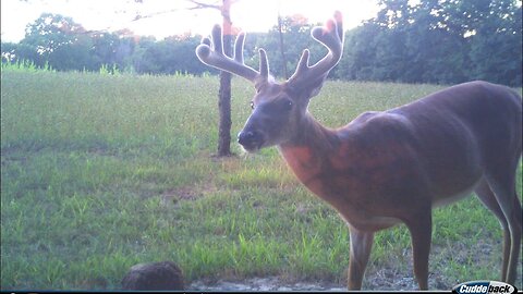 EP. 17 GEAR, FOOD PLOTS, TARGET BUCKS, & SHOT PLACEMENT