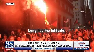 Pro Hamas Mob Invades NYC