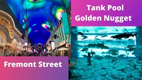 Fremont Street And Tank Pool Golden Nugget Las Vegas