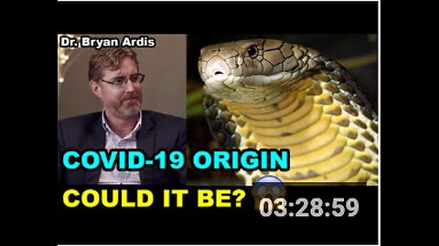 COVID-19 Origin: Could it be?