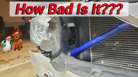 BMW 435i Crashes into Deer - High Speed Crash Aftermath! 🚗+🦌=💥