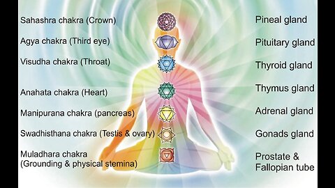 Structure of the 13 Moon Calendar Dreamspell Calendar Explained Seven Chakras