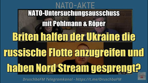 NATO-Untersuchungsausschuss mit Pohlmann & Röper (05.11.2022)
