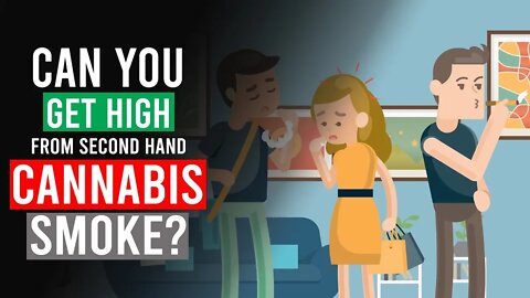Can you get HIGH from second hand CANNABIS smoke?