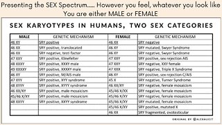 Presenting the XY XX Sex Spectrum