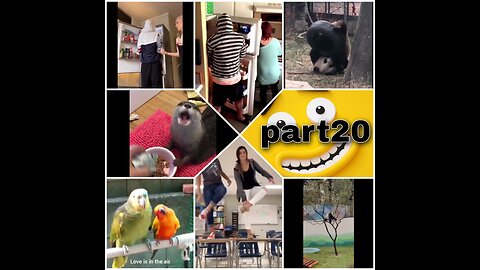 Collection of funny video part20