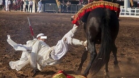 The most dangerous accidents of Moroccan equestrian +18