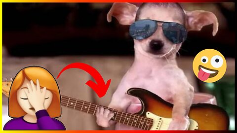 Dogs 🐶 Cute and Funny Animals Videos Compilation #viraldogs #dogslife #animals #funny #25